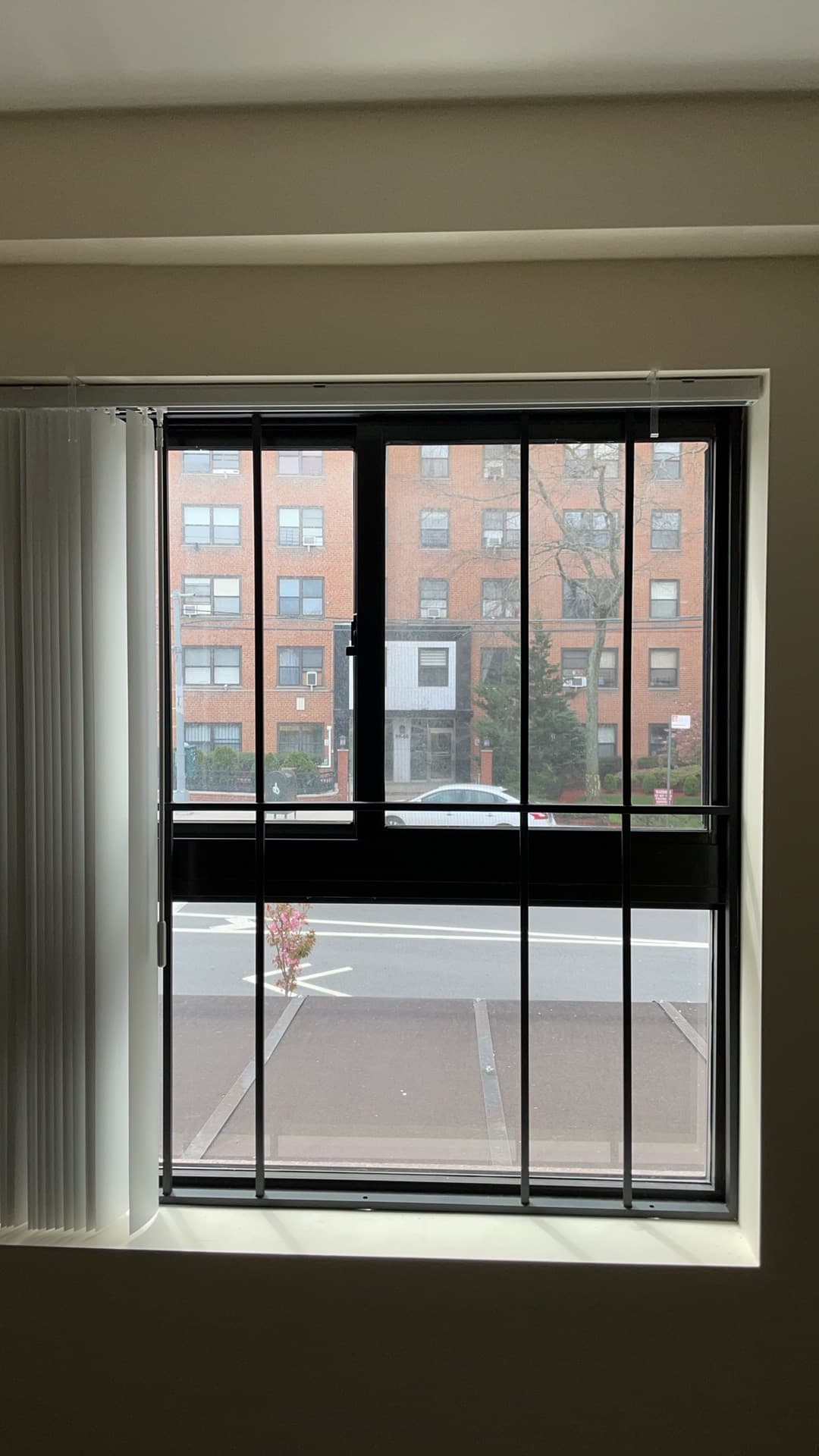 Image_20240419103728 — #P-0095 — WINDOW GUARD — Custom Iron Works by JYC Steel NYC