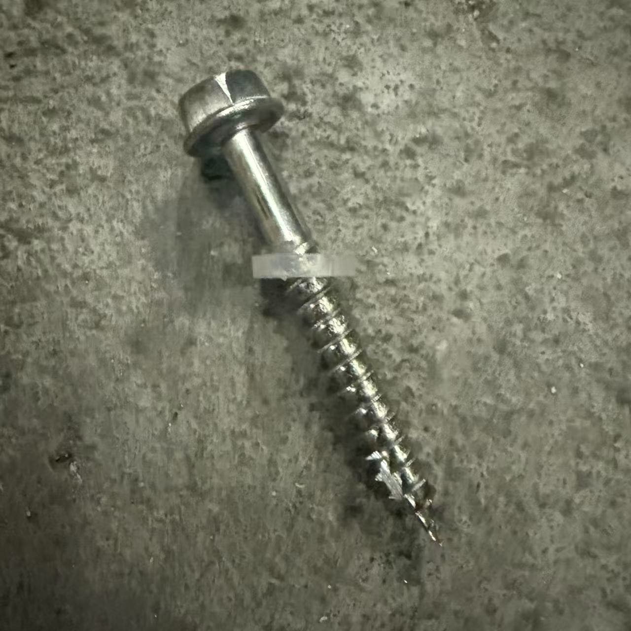 6×50 Stainless Hex